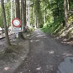 Storchennest *