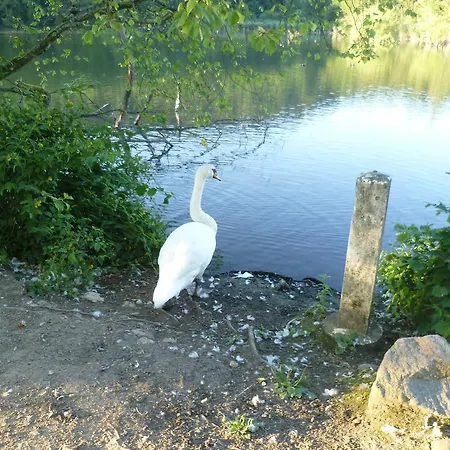 Storchennest * Bad Säckingen