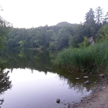 Storchennest Bad Säckingen