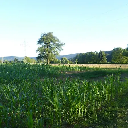 Storchennest Habitación en casa particular