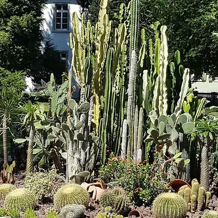 Habitación en casa particular Storchennest