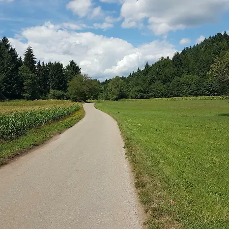 Ubytování v soukromí Storchennest *