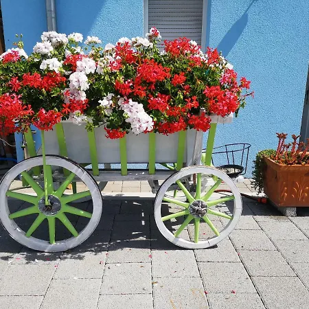 Storchennest Bad Säckingen