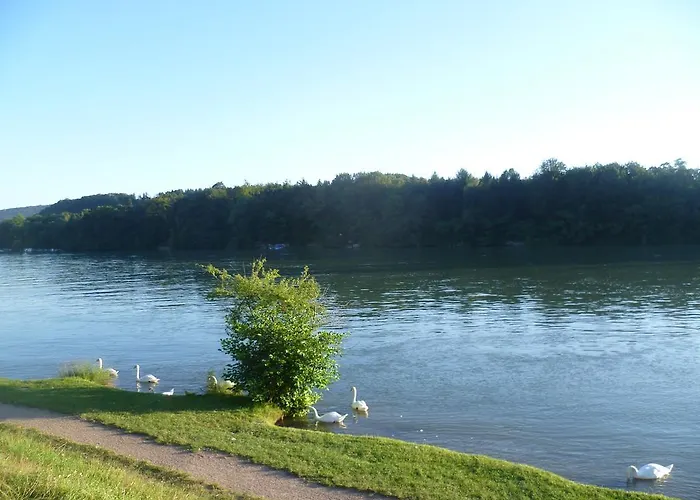 Storchennest * 바드사킹겐