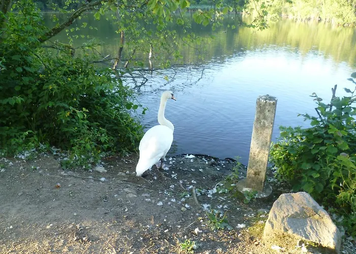 Storchennest * Bad Säckingen