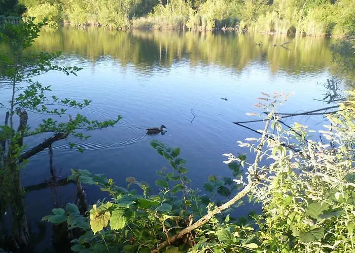 Storchennest Alloggio in famiglia Bad Säckingen
