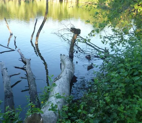 Alloggio in famiglia Storchennest *