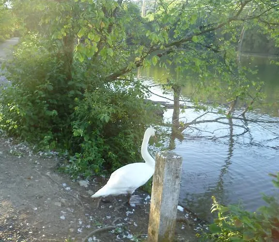 Storchennest Alloggio in famiglia Bad Säckingen