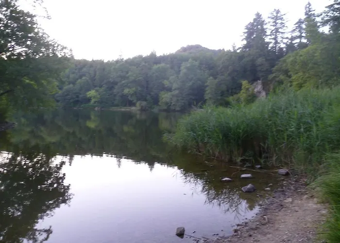 Storchennest Bad Säckingen