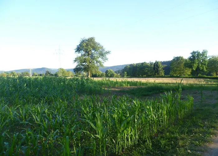 Storchennest 홈스테이