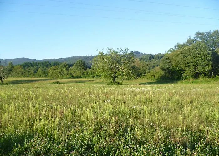 Storchennest 바드사킹겐