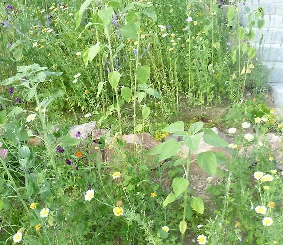 Alloggio in famiglia Storchennest Bad Säckingen