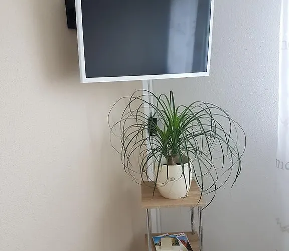 Storchennest 홈스테이 *