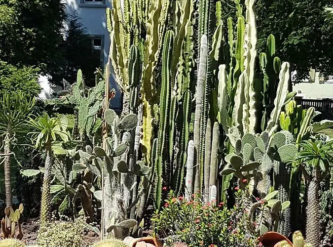 홈스테이 Storchennest