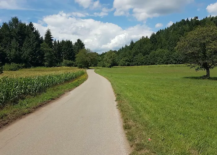 홈스테이 Storchennest *