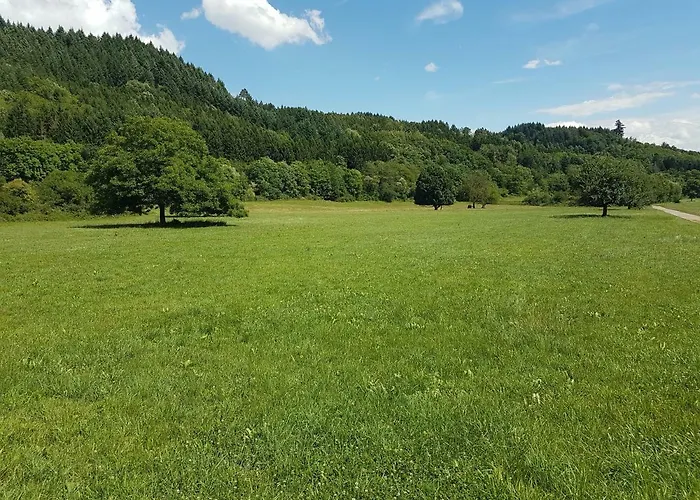 Storchennest 홈스테이 *