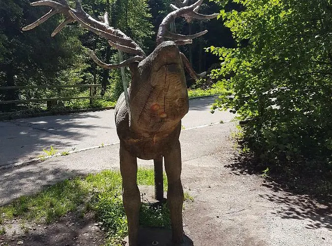 홈스테이 Storchennest 바드사킹겐