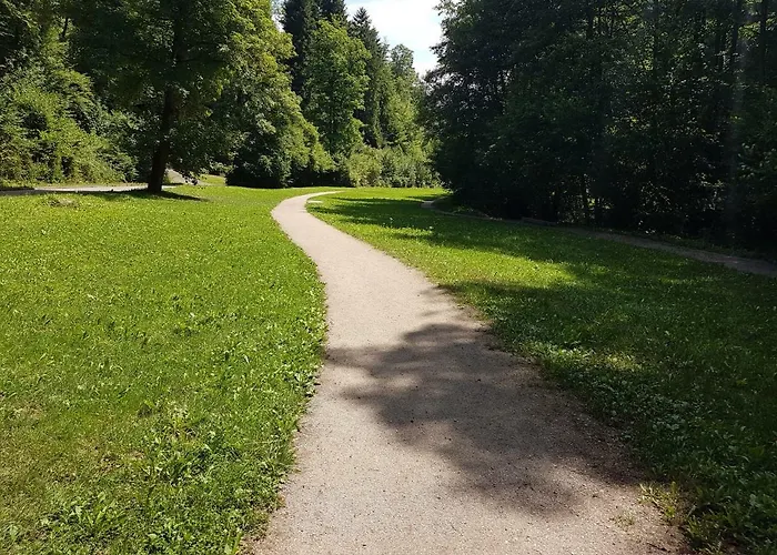 홈스테이 Storchennest 바드사킹겐