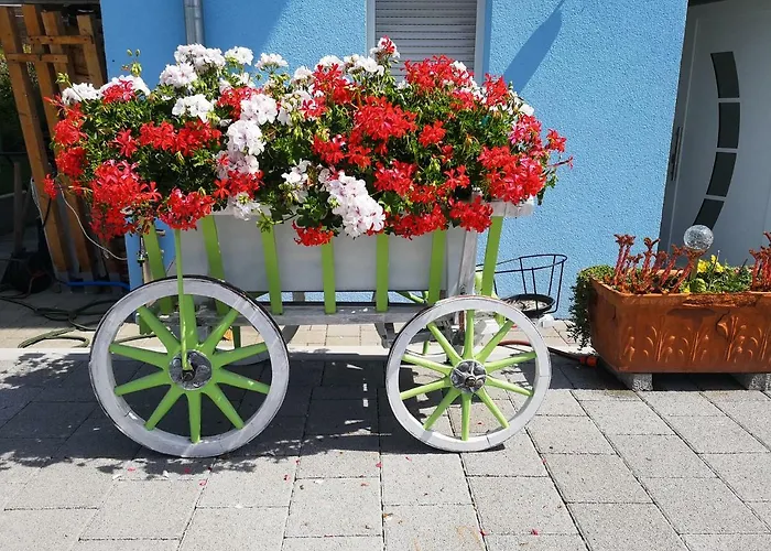 Storchennest 바드사킹겐